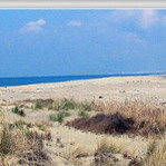 ente parco san rossore