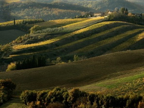 chianti-paesaggio