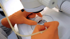 French Fabien Danjan of CNRS (French Res