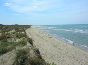 Erosione costiera san rossore