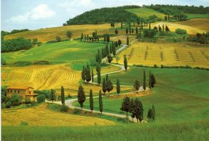 il-piano-paesaggistico-della-toscana-alla-ribalta-dell-expo_articleimage