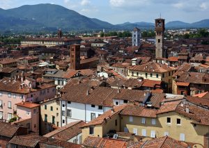 Lucques (Lucca), Italie : vue depuis la tour Guinigi